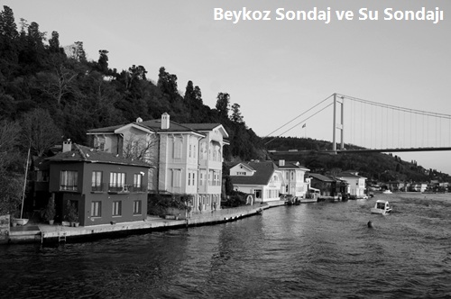 Beykoz Sondaj